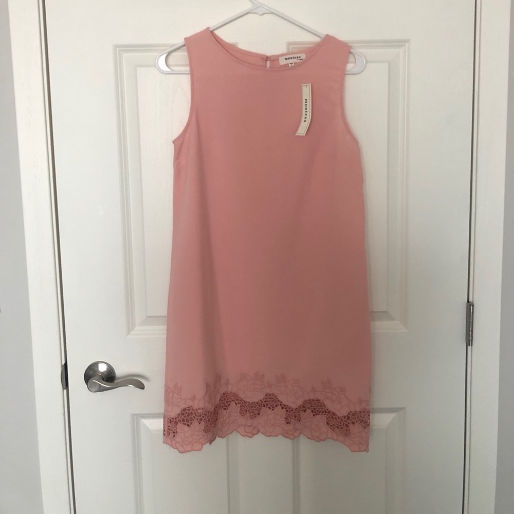 Monteau Blush Pink Dress